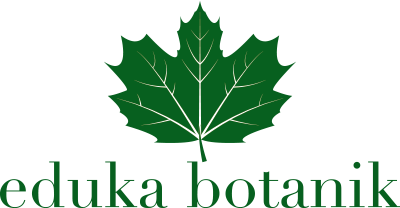 eduka-botanik-logo